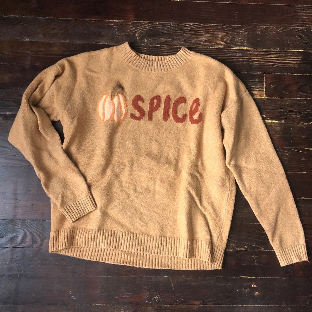 Ann Taylor LOFT "Pumpkin Spice" Sweater, size XS